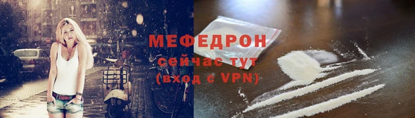 гидра Няндома