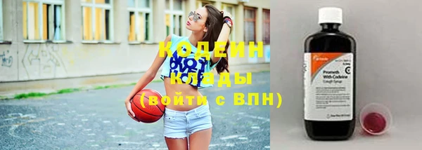 индика Нязепетровск