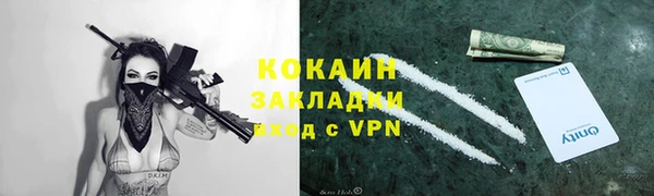 гидра Няндома
