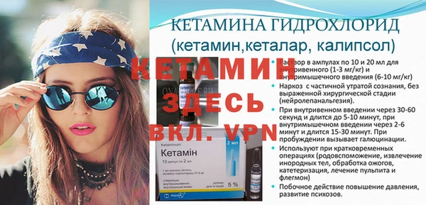 гидра Няндома