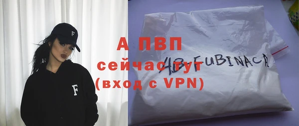 индика Нязепетровск