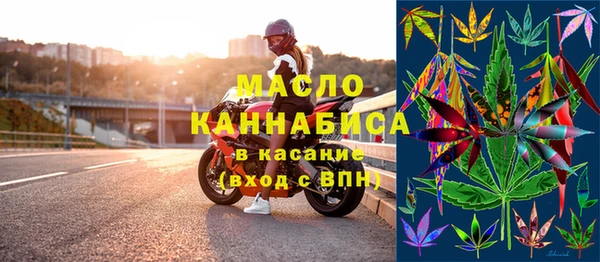 гидра Няндома