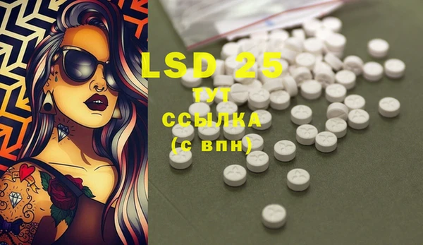 PSILOCYBIN Новозыбков