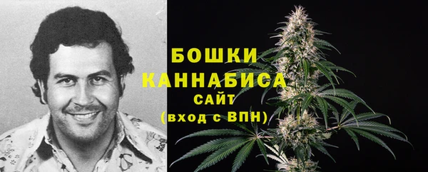 индика Нязепетровск