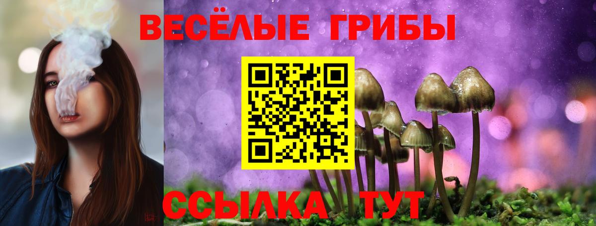 Псилоцибиновые грибы прущие грибы Котельники