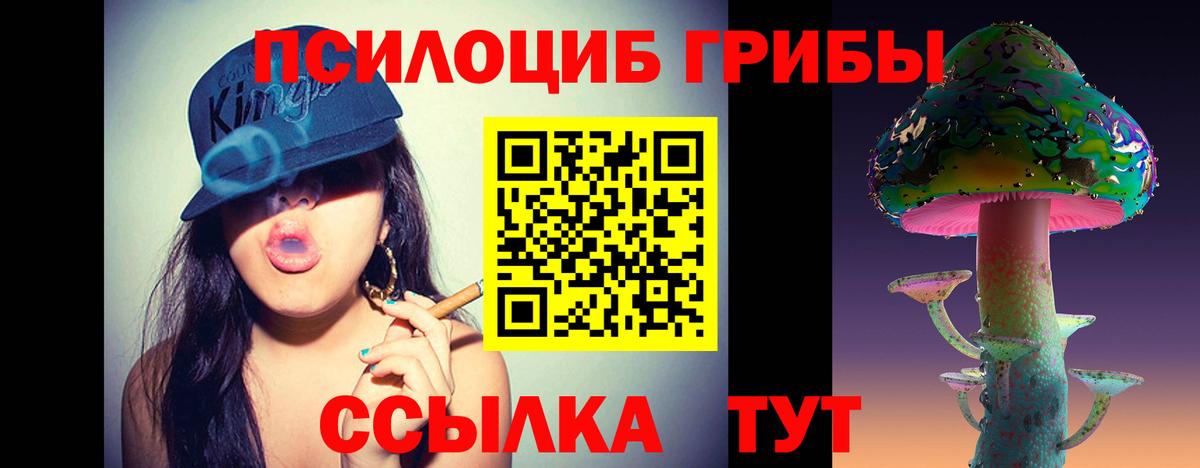 Котельники  Галлюциногенные грибы ЛСД  Вход с VPN 