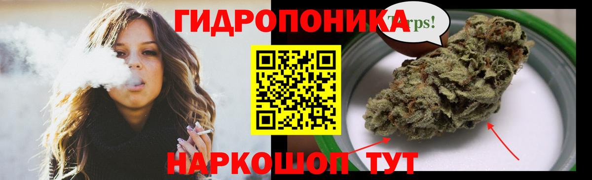 Бошки марихуана конопля Котельники